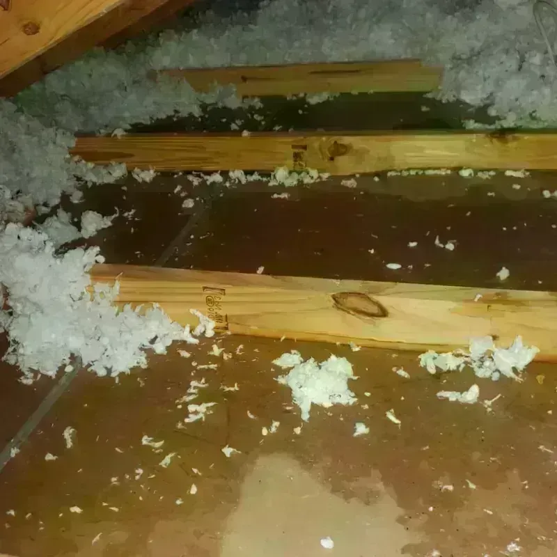 Attic Water Damage in Carson City, NV