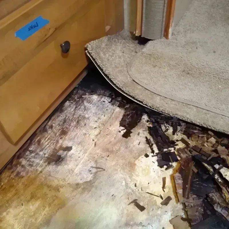 Wood Floor Water Damage in Carson City, NV